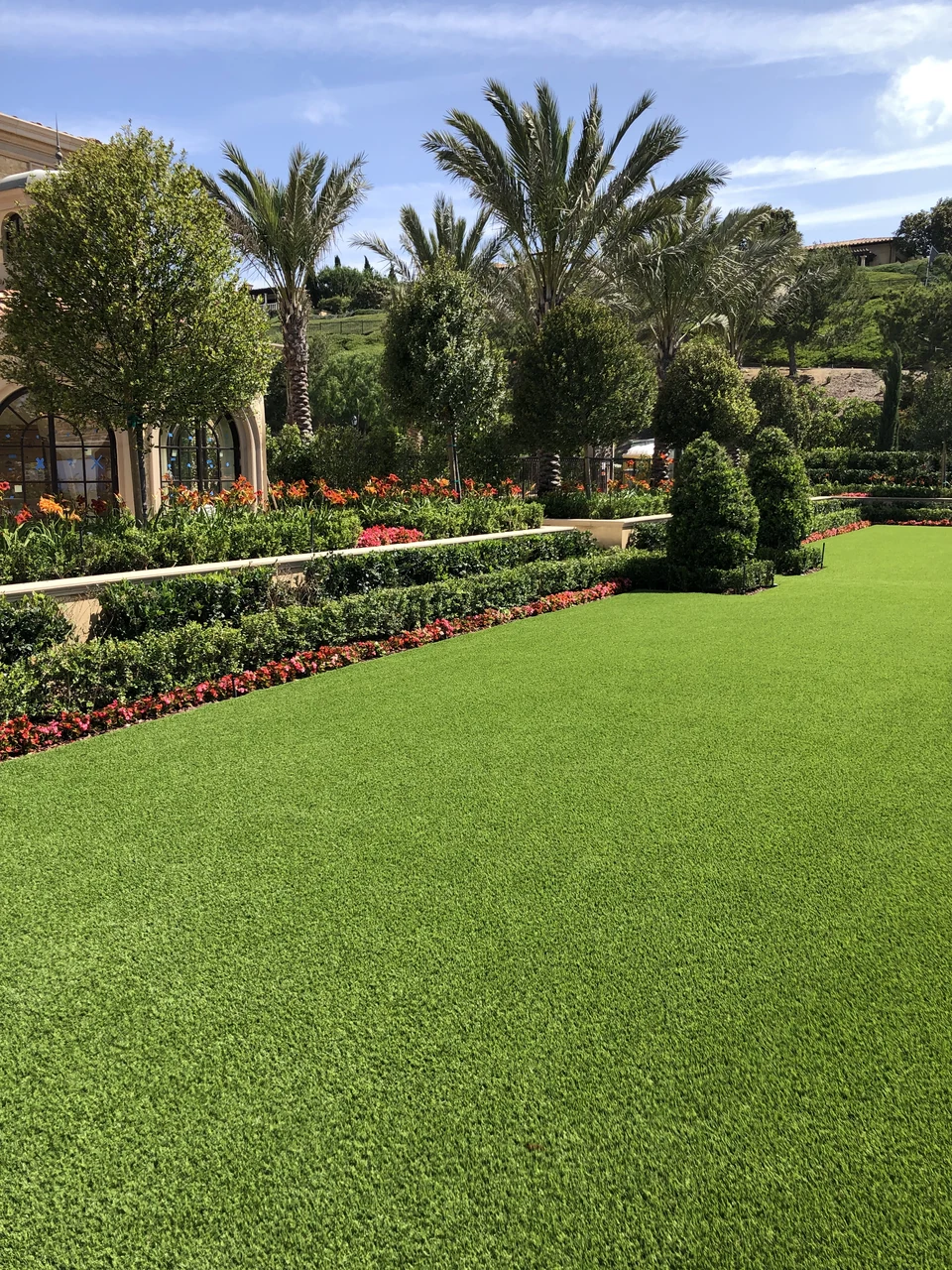Artificial turf with a clean border beside flowers, hedges and clipped shrubs