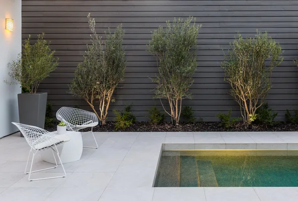 Poolside chairs and slender trees against dark fence