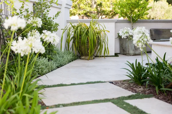 Stepping stone garden path and white flowering plants