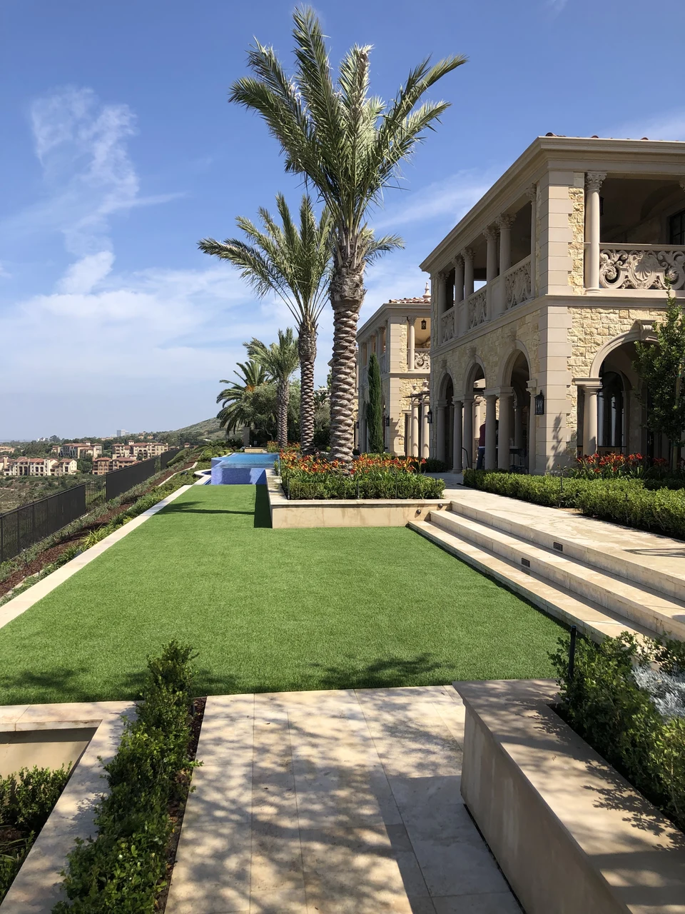 Artificial lawn bordered by stone steps, raised planting and a palm beside a house