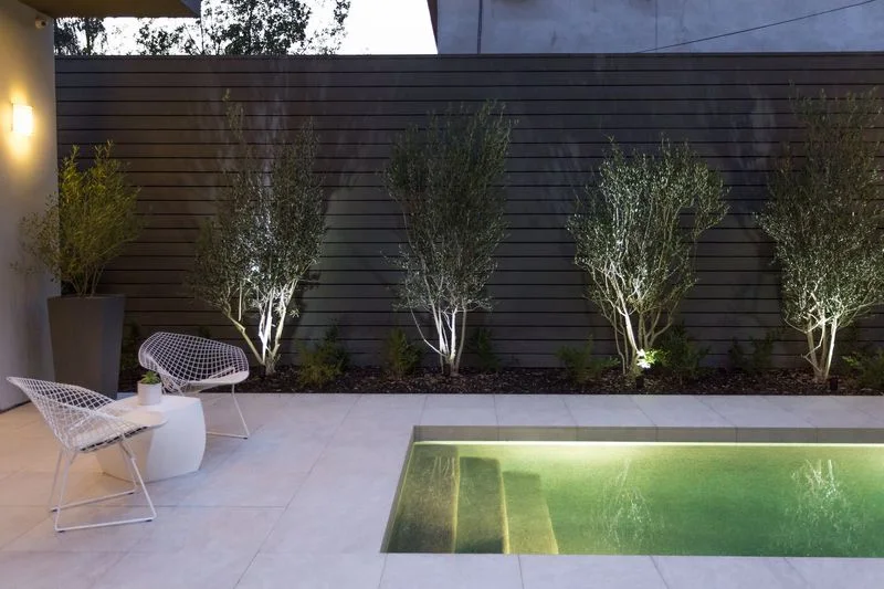 Tree uplighting beside a compact swimming pool