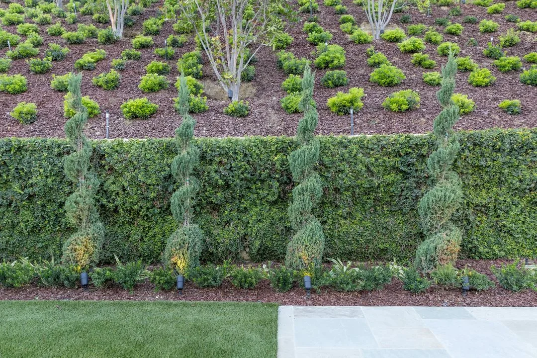 Luxury Landscape & Hardscape – Orange County – photo 8
