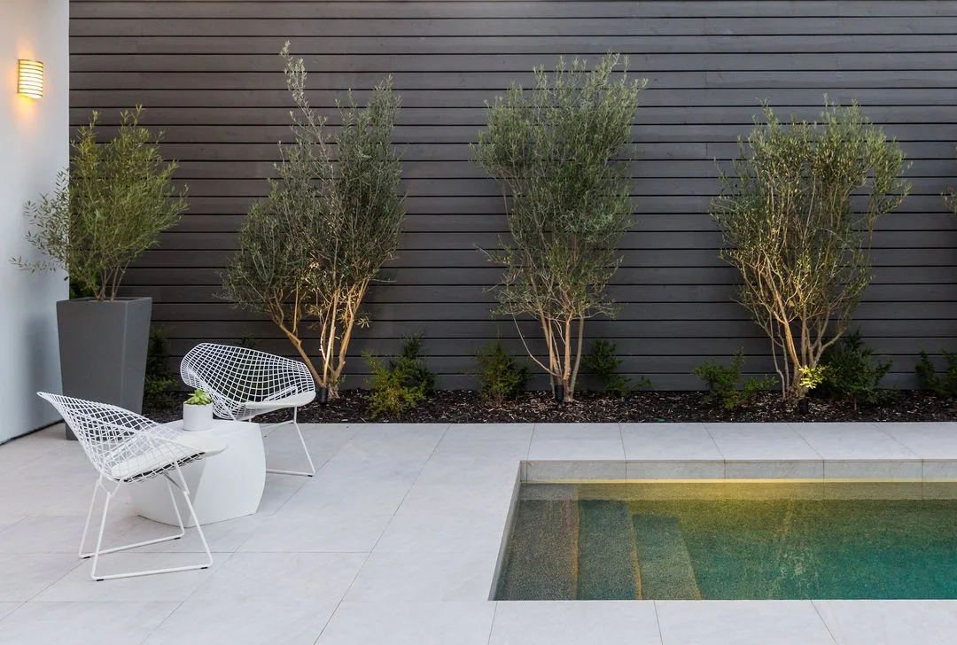 Modern Pool & Landscape Design-Build – Orange County – photo 13
