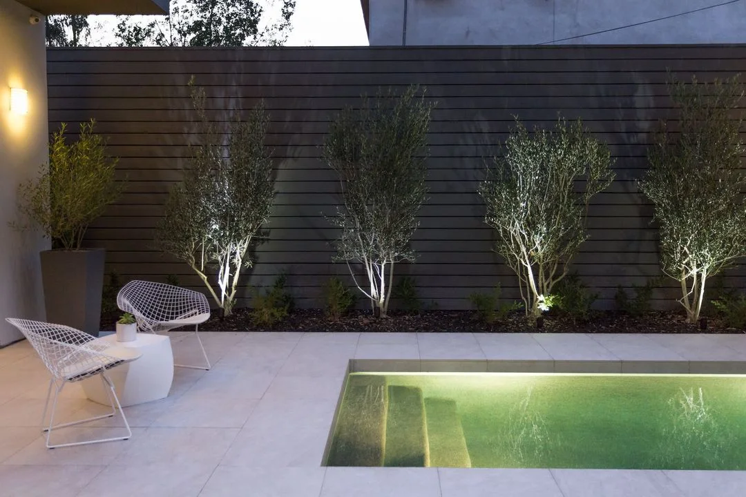 Modern Pool & Landscape Design-Build – Orange County – photo 15