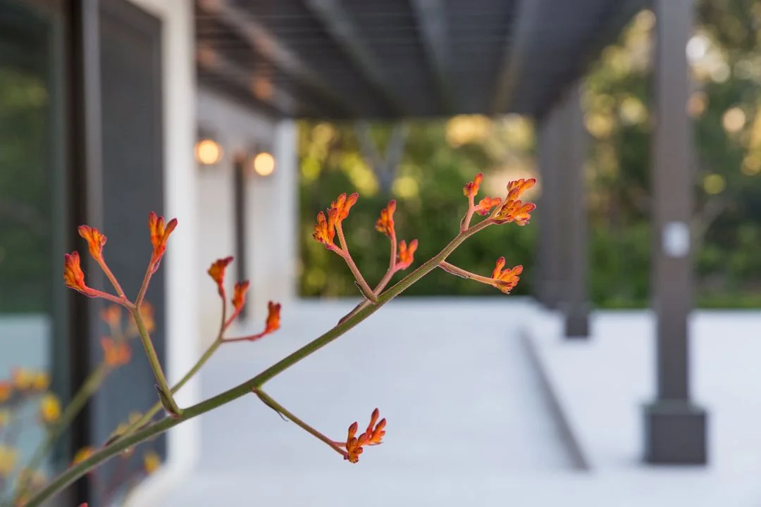 Custom Landscape, Pool & Site Walls – Orange County – photo 2