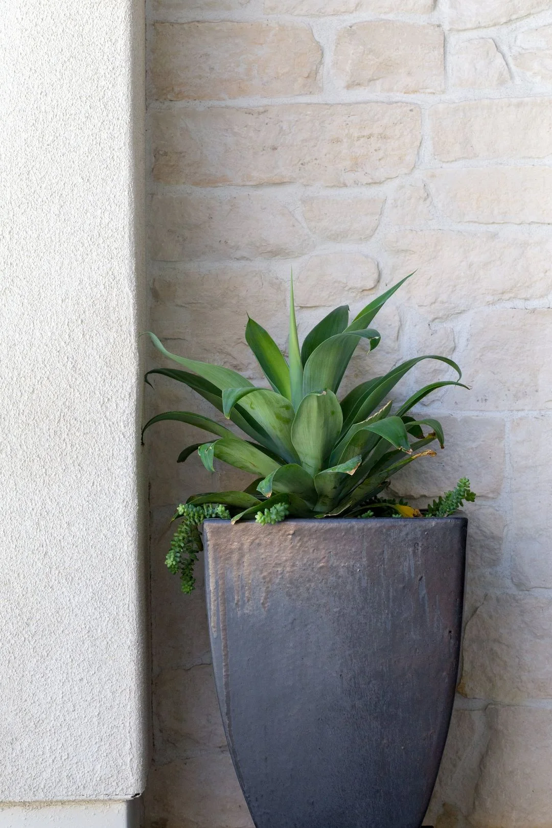 Complete Backyard Transformation – Orange County – photo 4